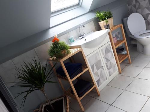 une salle de bain avec un lavabo et des toilettes dans l'établissement Chez Béa, à Saint-Ouen-en-Belin