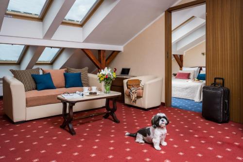 a living room with a dog sitting on the floor at Booking Hotel Crown Piast & Spa in Krakow