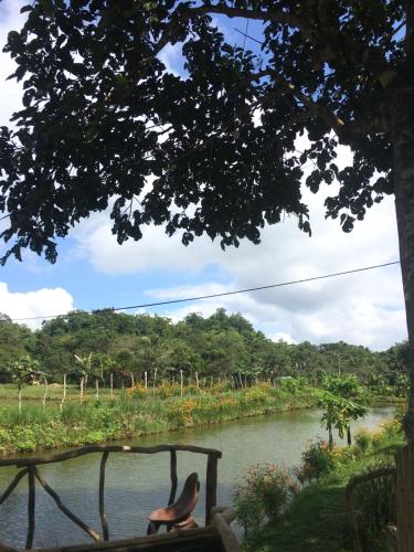 two birds sitting on a fence near a river at Camelo Farm in Bilar