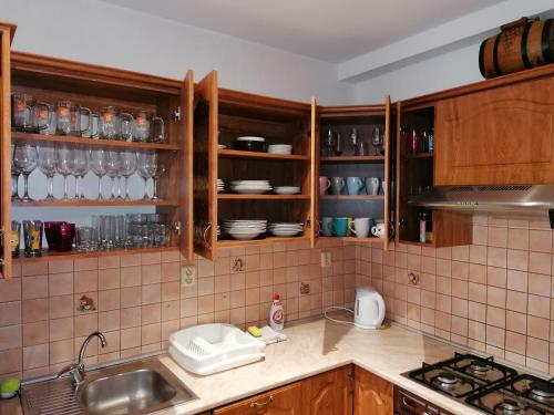 uma cozinha com armários de madeira e uma bancada com um lavatório em Ubytování Na Špacíru em Mikulov