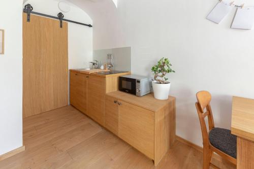 Η κουζίνα ή μικρή κουζίνα στο Apartma Jenkova rezidenca