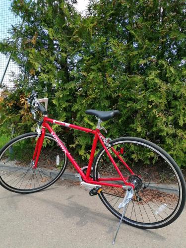 a red bike parked in front of a tree at aup178 in Sapporo