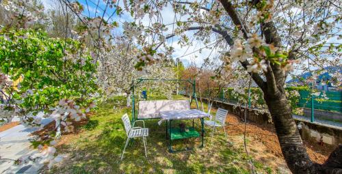 un tavolo e sedie sotto un albero con fiori di Bega Apartman a Mostar