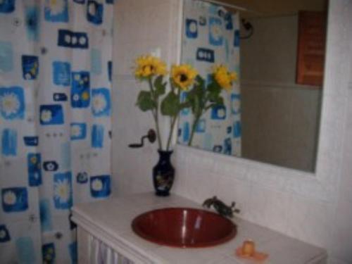 La salle de bains est pourvue d'un lavabo et d'un vase avec des fleurs jaunes. dans l'établissement House 6 Bedrooms with Pool and WiFi 8798, à Almáchar