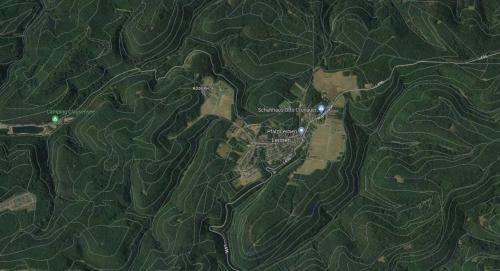 a satellite view of a map of a forest at Schöne Ferienwohnung mitten im Pfälzerwaldgebiet in Leimen