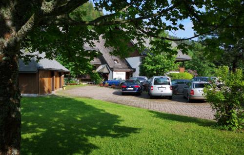 Menzenschwand-HinterdorfにあるB5 Albmatte-FEWO Sauna, Hallenbad Außenbecken Massagen nebenanの駐車場に停車した車の集団