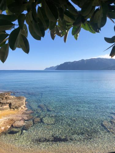 The Island House By Plakalona Villas & Apartments