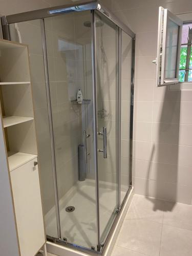 une douche avec une porte vitrée dans une salle de bain dans l'établissement Appartement et Studio Les Glycines, à Clara