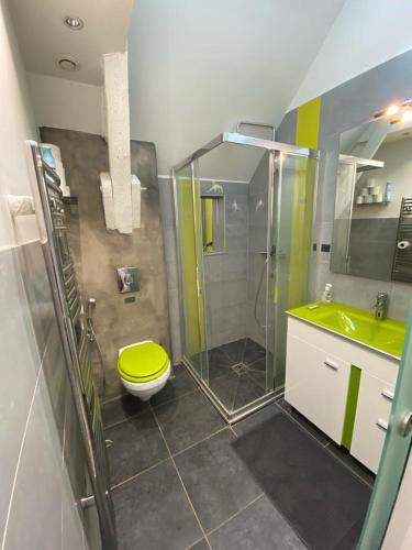 a bathroom with a shower and a toilet and a sink at Le relais des trois châteaux in Flixecourt