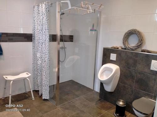 uma casa de banho com um WC, um chuveiro e um lavatório. em De Grindweg em Holten