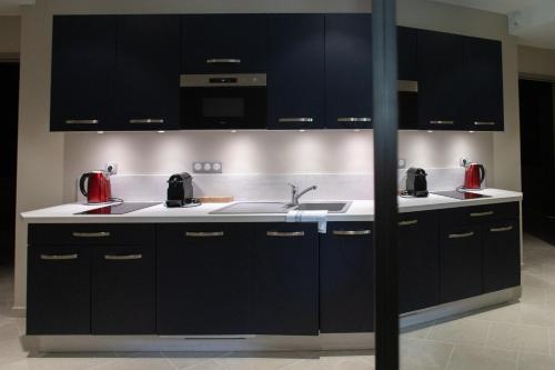 a kitchen with black cabinets and a sink at Champagne André Bergère - Guest House in Épernay
