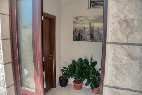 a hallway with potted plants and a picture on the wall at Guesthouse Victoria II in Dubrovnik