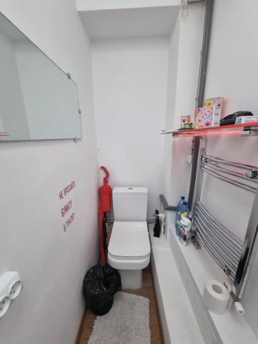 a small bathroom with a toilet and a shower at Good choise in Chişinău
