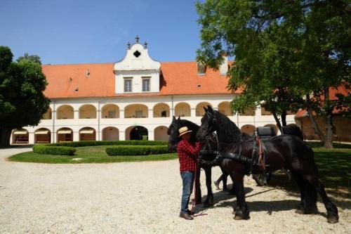 Cabalgata en la casa de vacaciones o alrededores