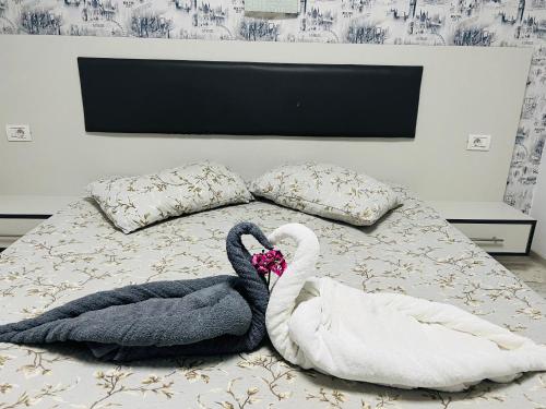 コンスタンツァにあるAndiaのベッドの上に横たわる白鳥