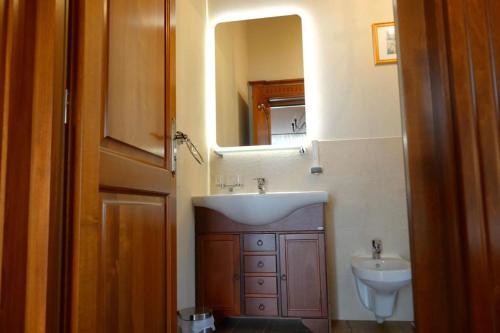 a bathroom with a sink and a toilet and a mirror at Villa Diva in Budureasa