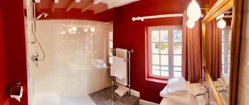 a red bathroom with a shower and a sink at Auberge d'Inxent in Inxent