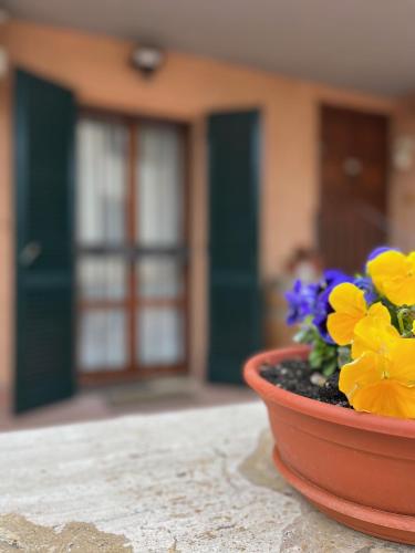 a flower pot sitting on a table with flowers at Tuscan Room in San Quirico dʼOrcia