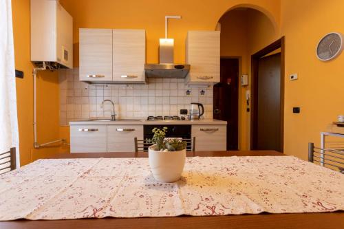 a kitchen with a table with a potted plant on it at The Novara Gateway - appartamento Novara in Novara