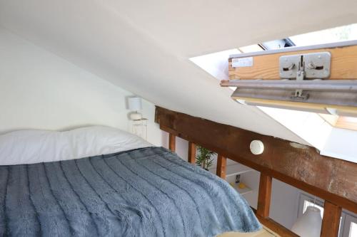 1 dormitorio con 1 cama y tragaluz en PETIT NID COSY - Proche des ecoles et entreprises, en Orsay