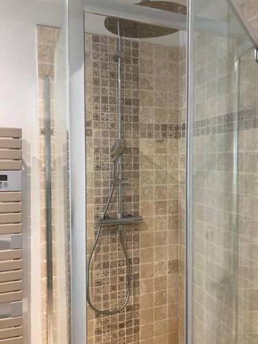 une douche avec une porte vitrée dans une salle de bain dans l'établissement maison avec 5 chambres et jardin à Malakoff, à Malakoff
