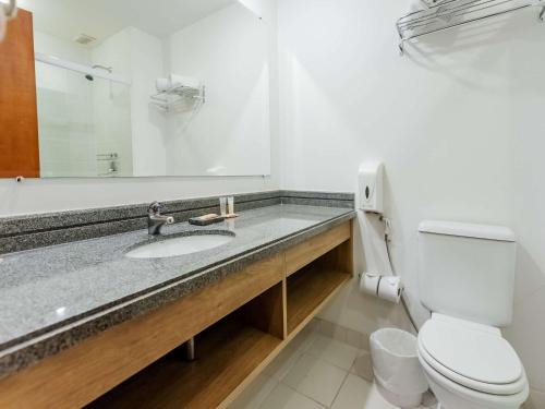 a bathroom with a sink and a toilet and a mirror at Ibis Styles Campinas Alphaville in Campinas