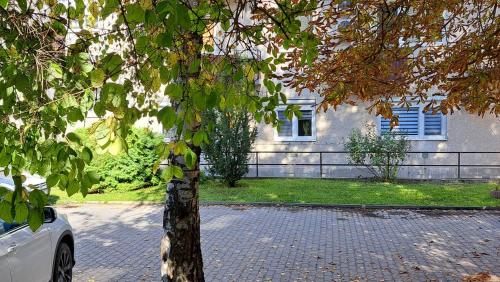 Zahrada ubytování Újhely vára Apartman