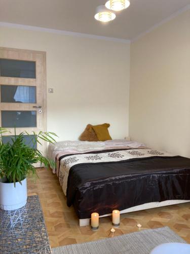 Un dormitorio con una cama con velas. en Baśniowy Apartament, en Lublin