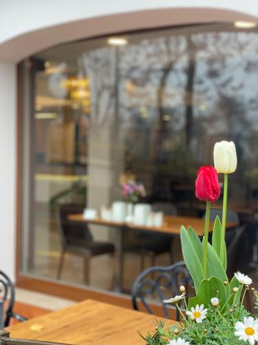 Billede fra billedgalleriet på Blue Sea Hotel i Trabzon