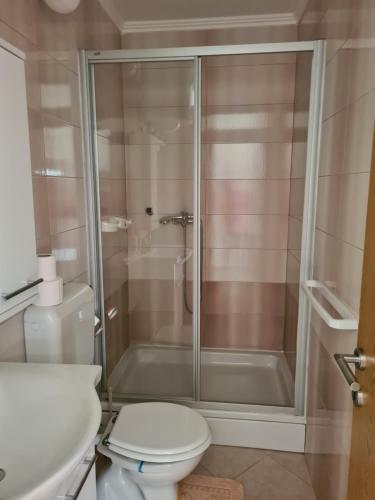a bathroom with a shower with a toilet and a sink at Apartments Ivan in Povljana