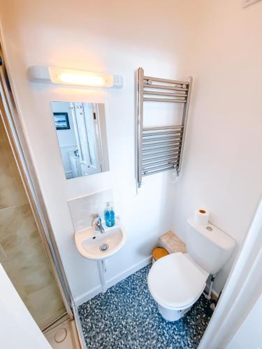 a bathroom with a toilet and a sink at Beachside Guesthouse in St Ives