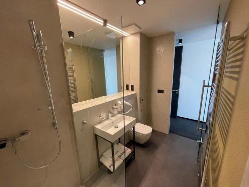 La salle de bains est pourvue de toilettes, d'un lavabo et d'une douche. dans l'établissement Ponton Rooms, à Bratislava