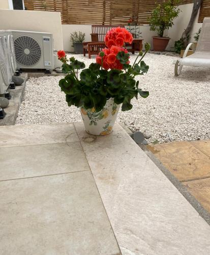 a vase filled with red flowers on a patio at Mountain View Apartment - Polis in Polis Chrysochous