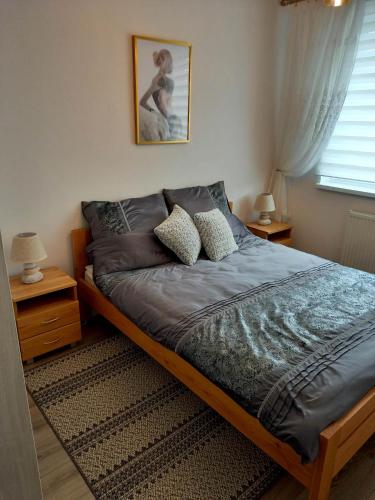 1 dormitorio con 1 cama con 2 almohadas en Apartament Green Park 2, en Starogard Gdański