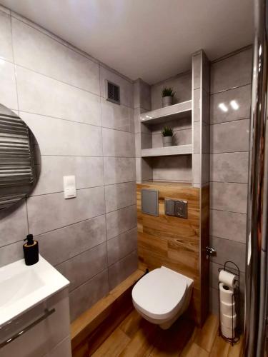 y baño con aseo y lavamanos. en Apartament położony u podnóża Gór Bardzkich, en Bardo