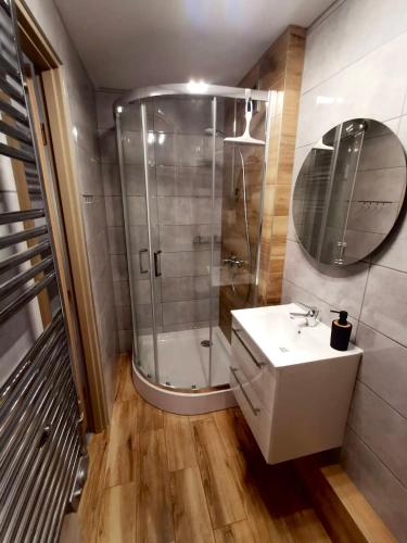 a bathroom with a shower and a sink and a mirror at Apartament położony u podnóża Gór Bardzkich in Bardo