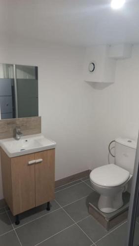 La salle de bains est pourvue de toilettes, d'un lavabo et d'un miroir. dans l'établissement Maison à proximité de la ville avec jardin clôturé, à Casseneuil