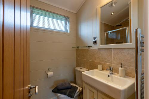 a bathroom with a sink and a toilet and a mirror at Lakeside 4 Lodge in Windermere