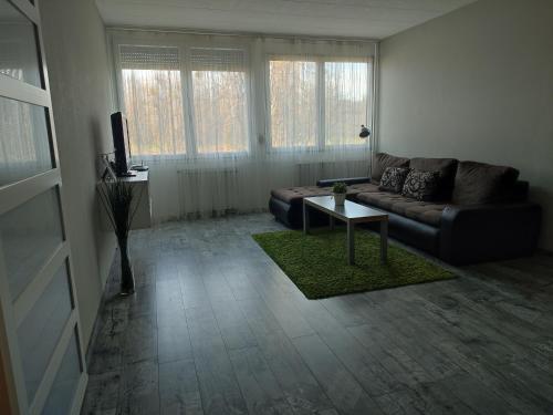 a living room with a couch and a table at Palota Apartman in Gödöllő