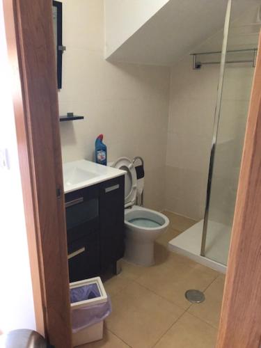 ein Bad mit einem WC, einem Waschbecken und einer Dusche in der Unterkunft 2 Bedroom Apartment Condado de Alhama in Alhama de Murcia
