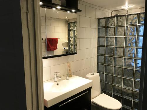 bagno con lavandino, servizi igienici e specchio di Nice holiday home in Tallbacken outside Ljungby a Bolmstad