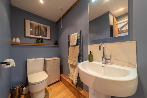 a bathroom with a white sink and a toilet at Rosehill Barn -a tranquil rural barn conversion in Barnstaple