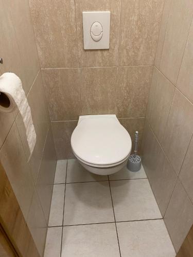 a bathroom with a toilet and a roll of toilet paper at Peter Apartman in Szeged