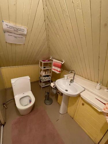 a small bathroom with a toilet and a sink at Summerhouse Labanoras in Stirniai