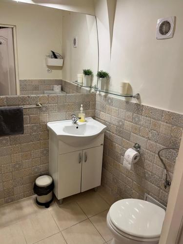 a bathroom with a sink and a toilet at Center feelings studio by Alandala in Cluj-Napoca