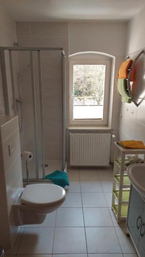 a bathroom with a toilet and a shower and a window at Fewo Jahn in Bad Schandau