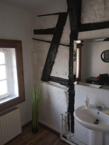 une salle de bain avec un lavabo et un miroir dans l'établissement Logment saint denis, à Liège