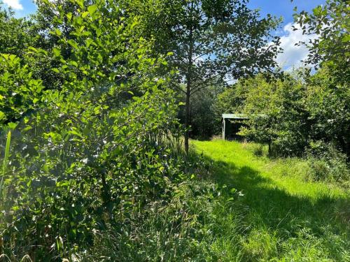 a grassy field with trees and a building in the background at Newly renovated Cottage with private trout fishing set in beautiful wildlife estate in Monaghan