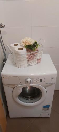 a washing machine with two baskets on top of it at Apartma Vita in Moravske Toplice