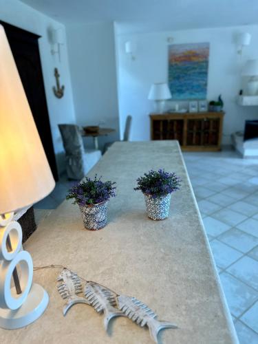a table with two plants on top of it at Chia Villas in Chia